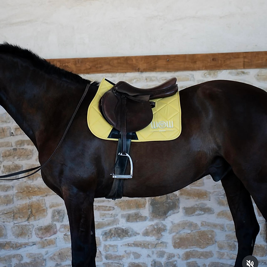 Tapis Horse Care WOW store jaune