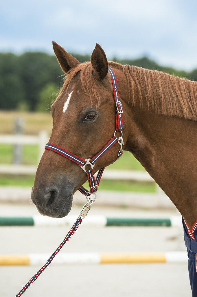 Licol tricolore doux NORTON marine, rouge et blanc