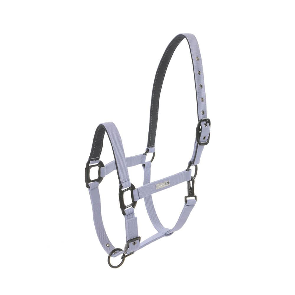 Licol Midnight LAMI-CELL bleu ardoise