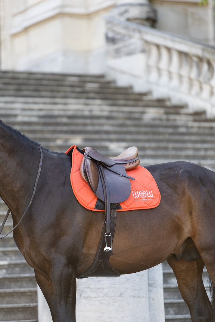 Tapis Horse Care WOW store terracotta