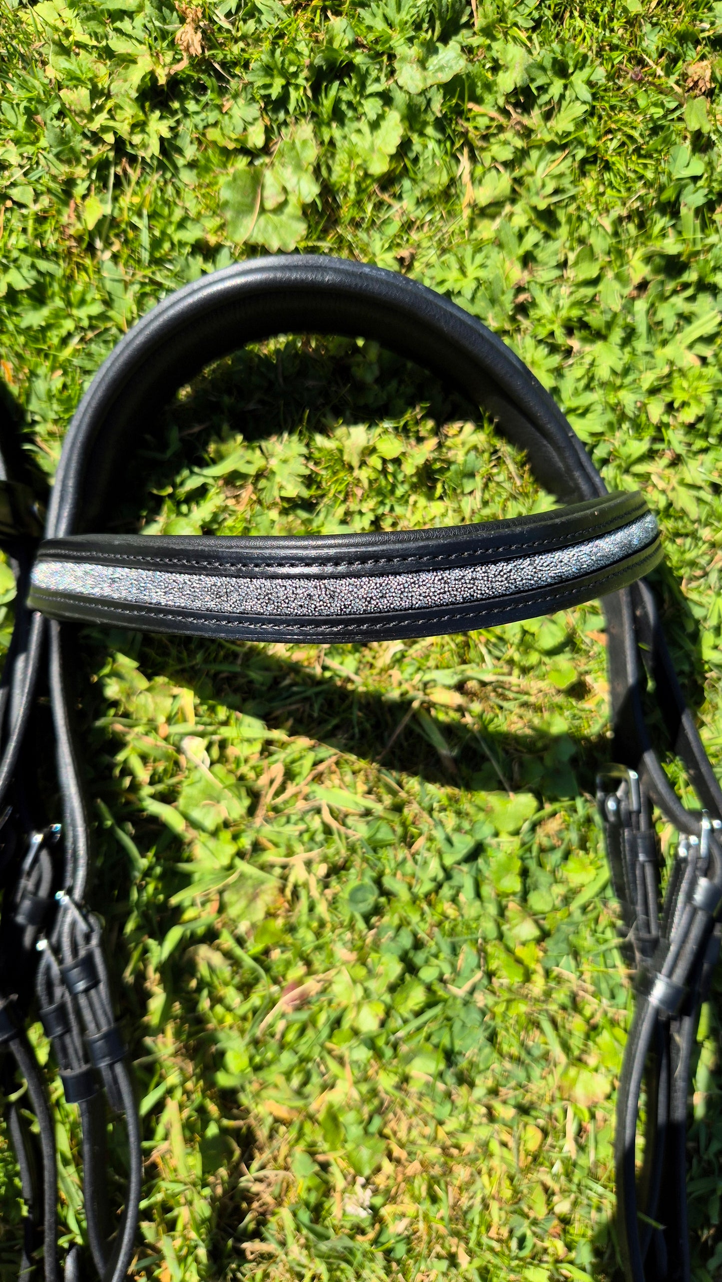 Bridon + rênes Sparkle CABALLIA noir argent