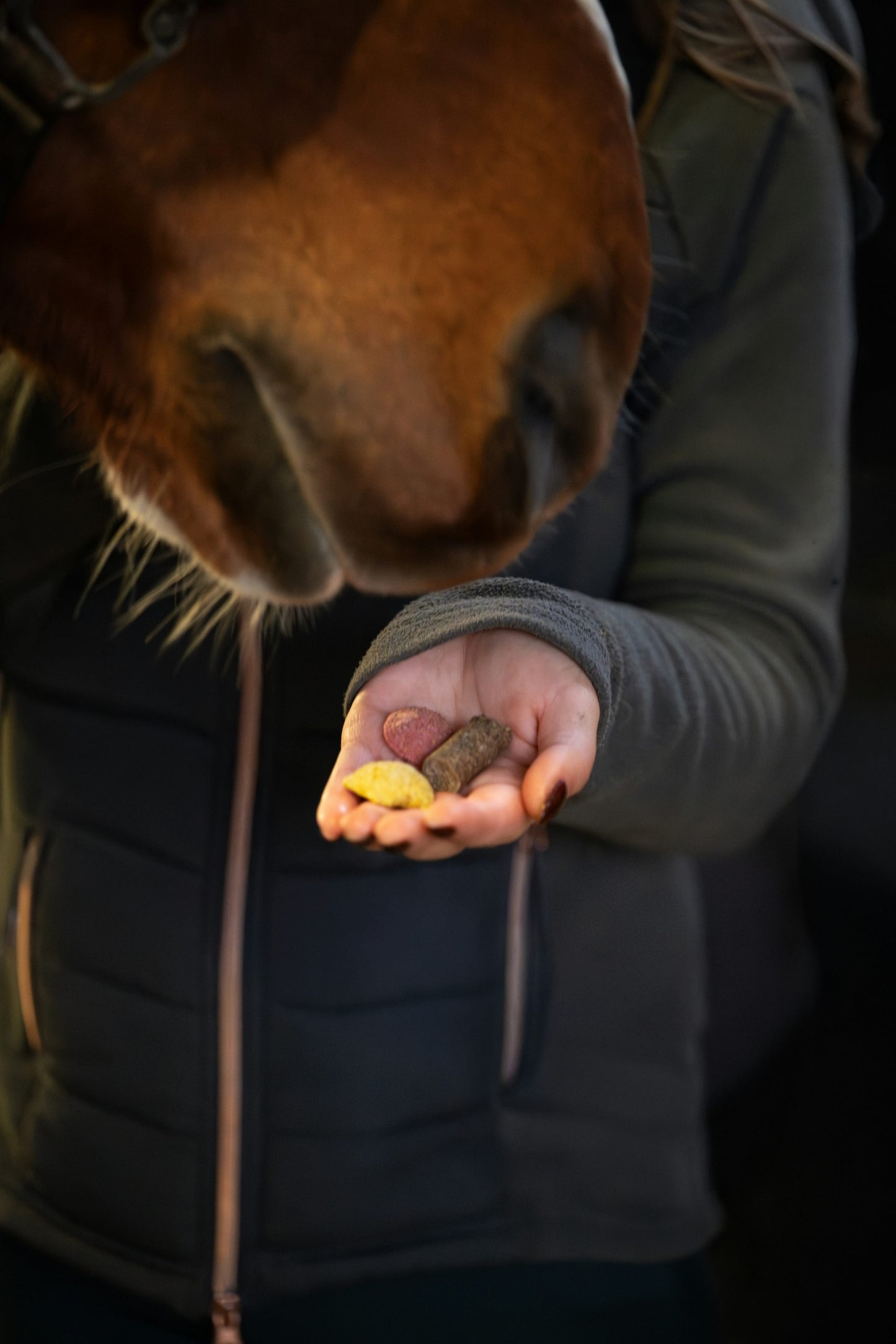 Friandises pour chevaux DADA SWEET