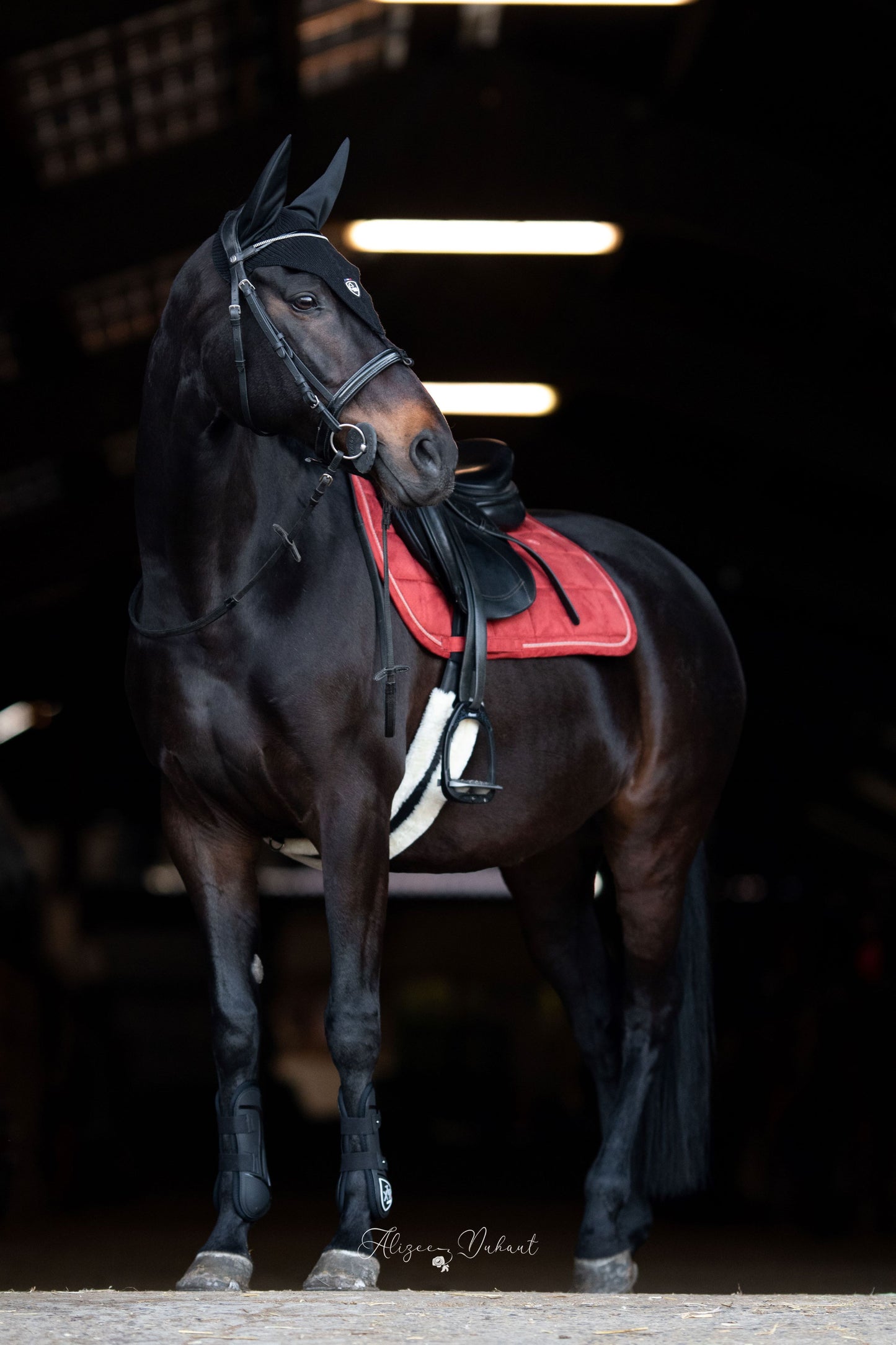 Tapis Suède EQUITHEME rouille