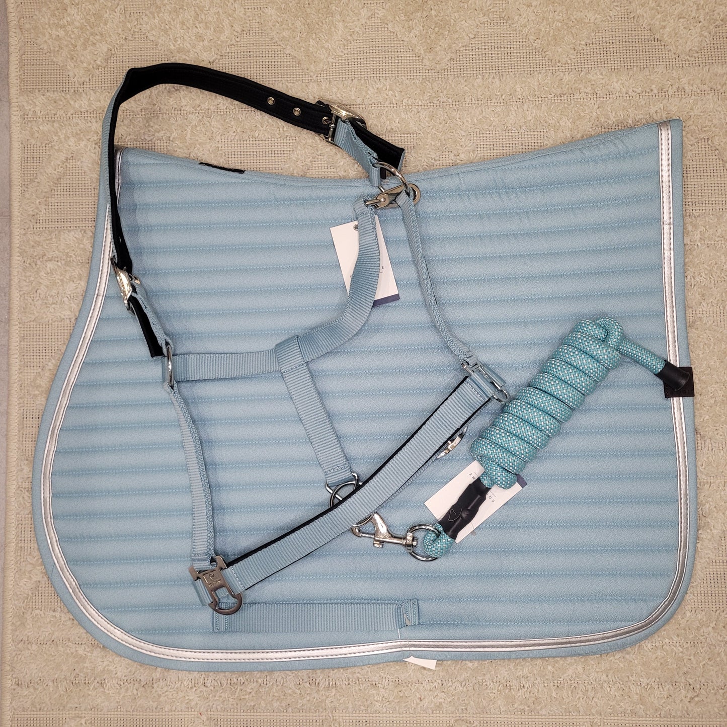 Longe EQUITHEME Spring turquoise