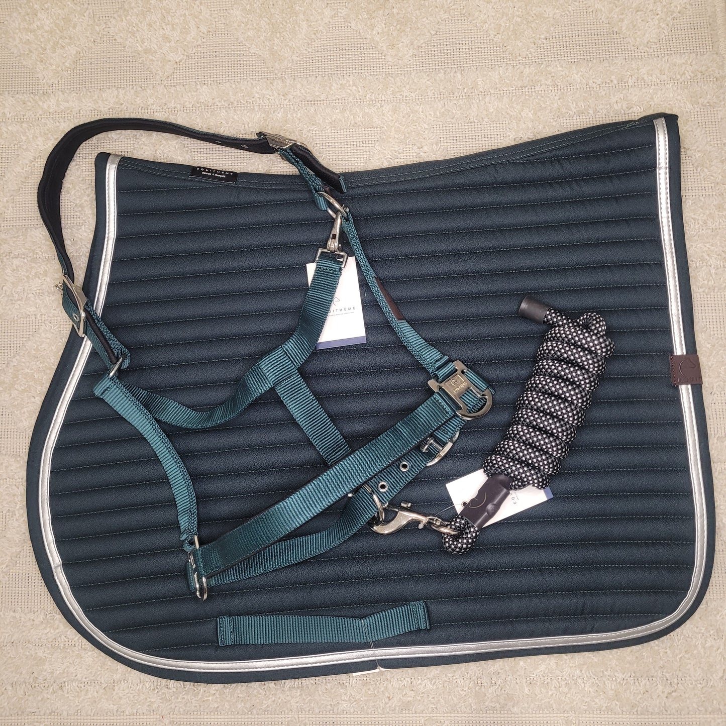 Licol nylon EQUITHEME Spring vert foncé
