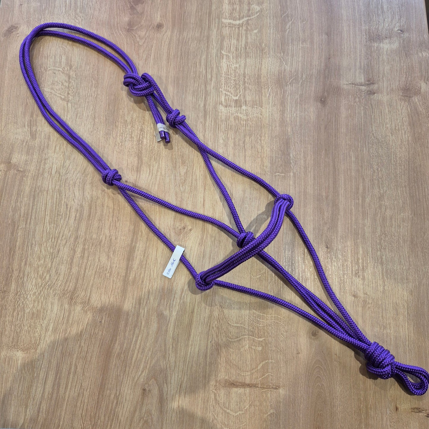 Licol éthologique violet