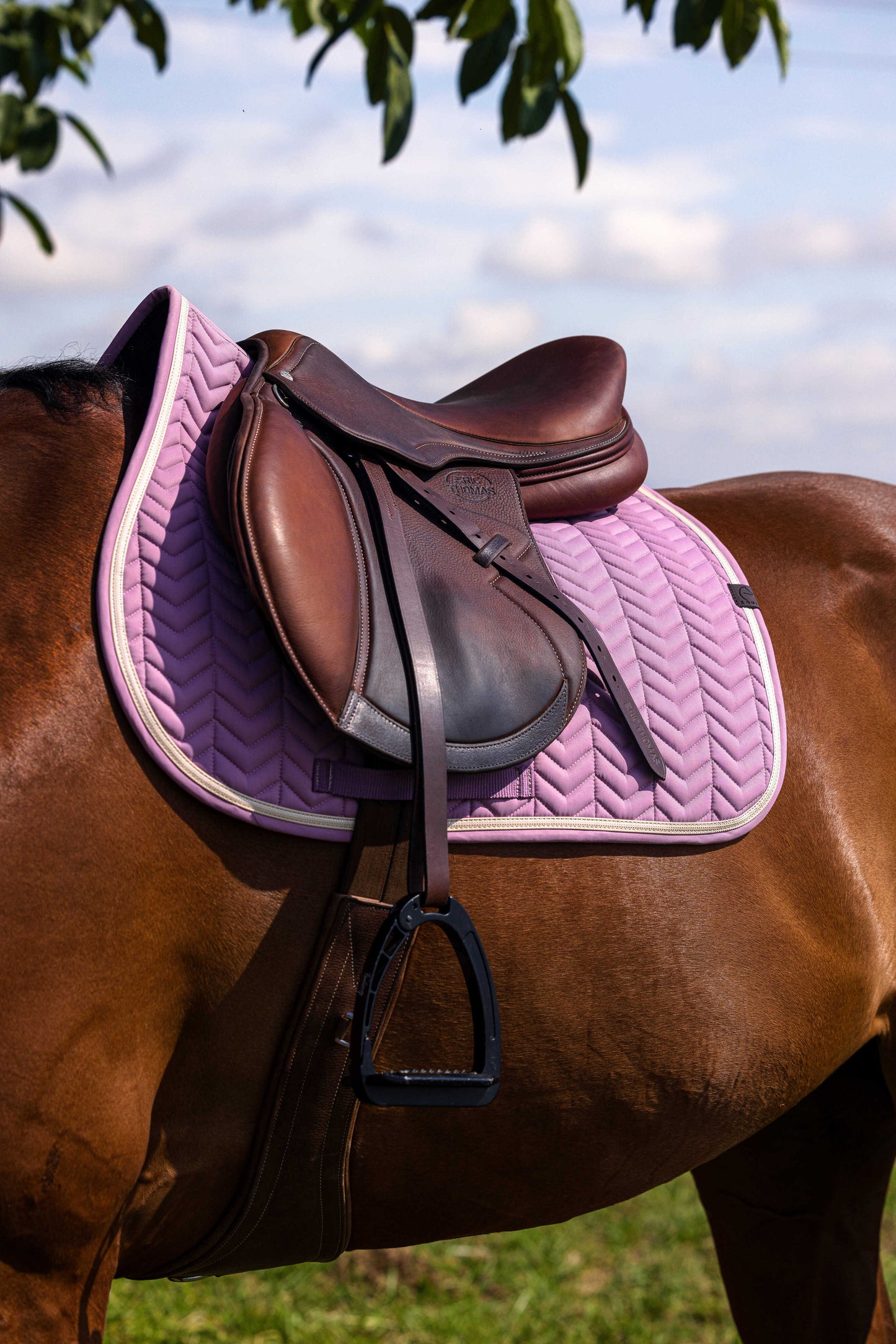 Tapis poney Softypop EQUITHEME lilas