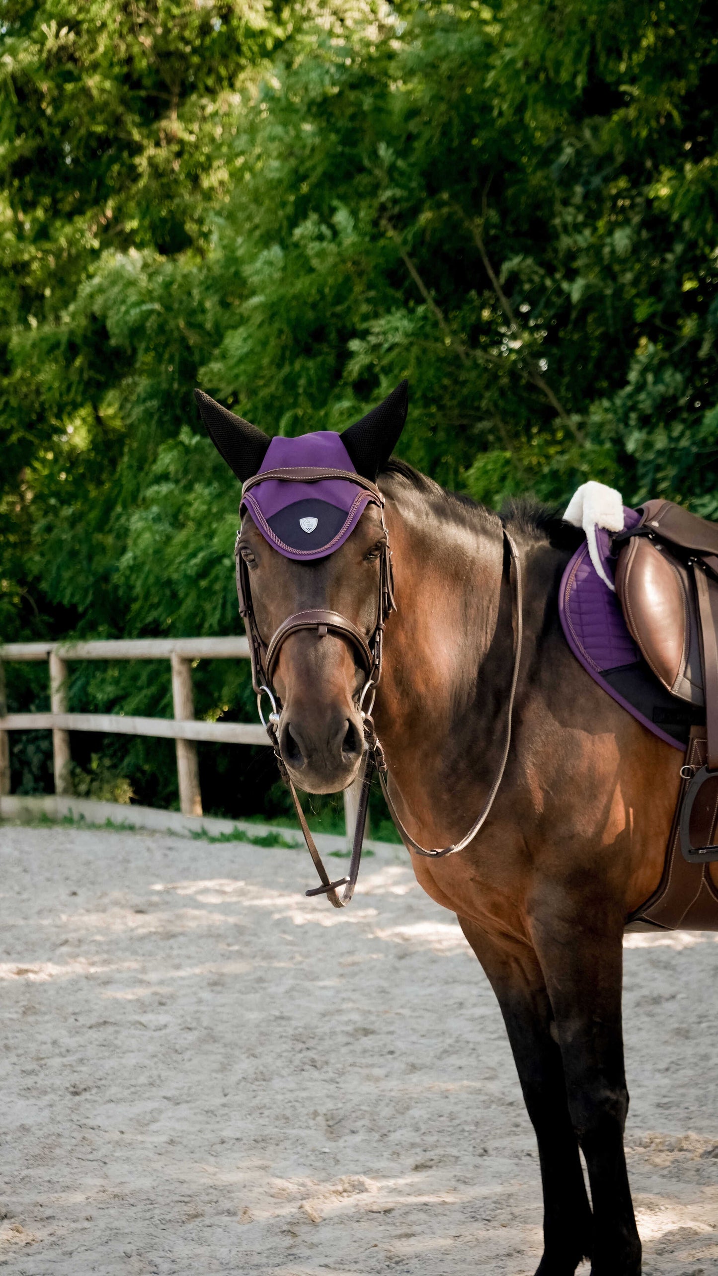 Bonnet Combo Master PRO SERIES violet