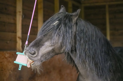 Friandises pour chevaux LIKIT