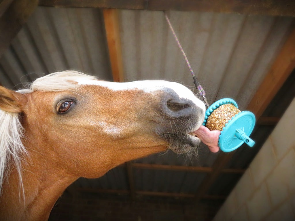 Friandises pour chevaux LIKIT Granola