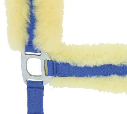 Licol EQUITHEME mouton synthétique bleu roi