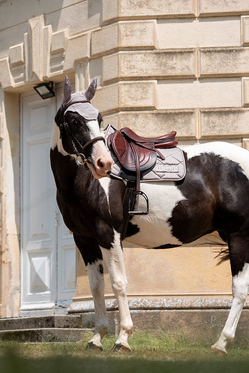 Tapis Horse Care WOW store gris