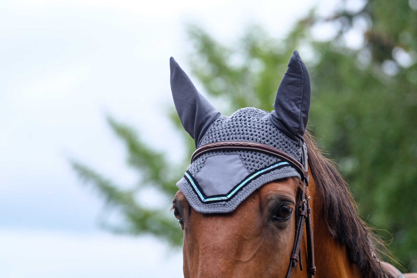 Bonnet EQUITHEME Domino gris