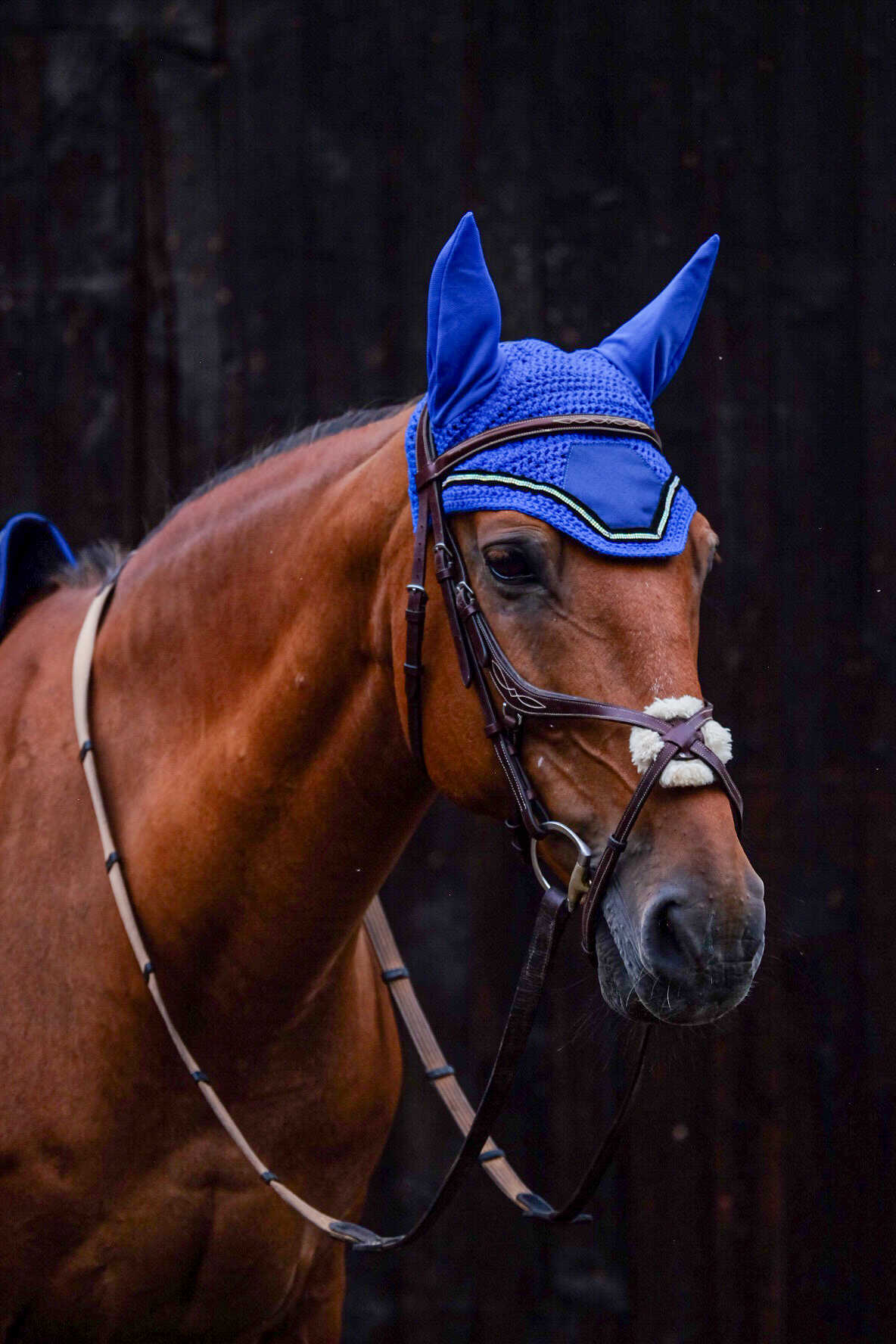 Bonnet EQUITHEME Domino bleu