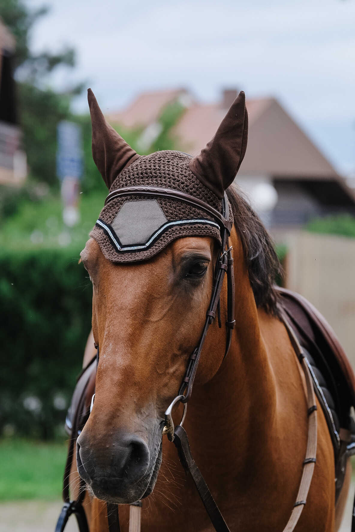 Bonnet EQUITHEME Domino marron