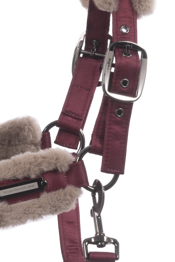 Licol Jany CAVALLO darkred