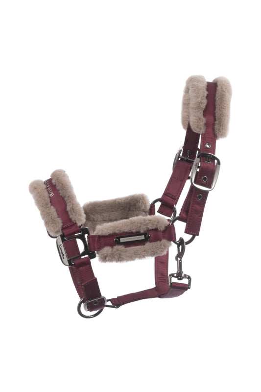 Licol Jany CAVALLO darkred