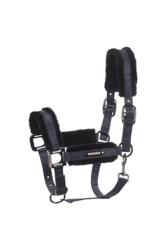 Licol Jany CAVALLO midnight grey