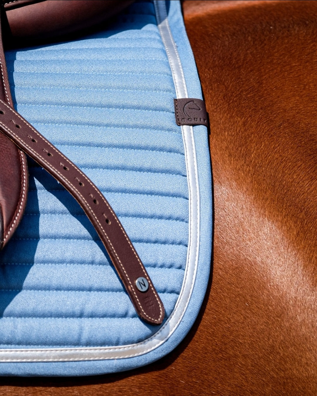 Tapis Spring EQUITHEME bleu