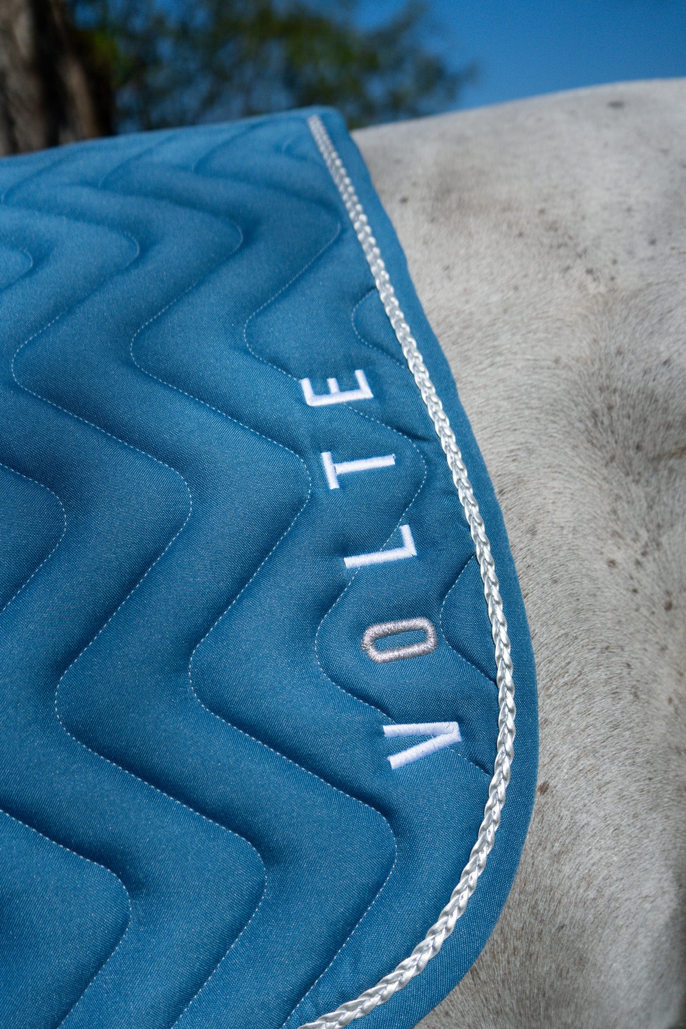 Tapis dressage Volte Le Pétillant bleu