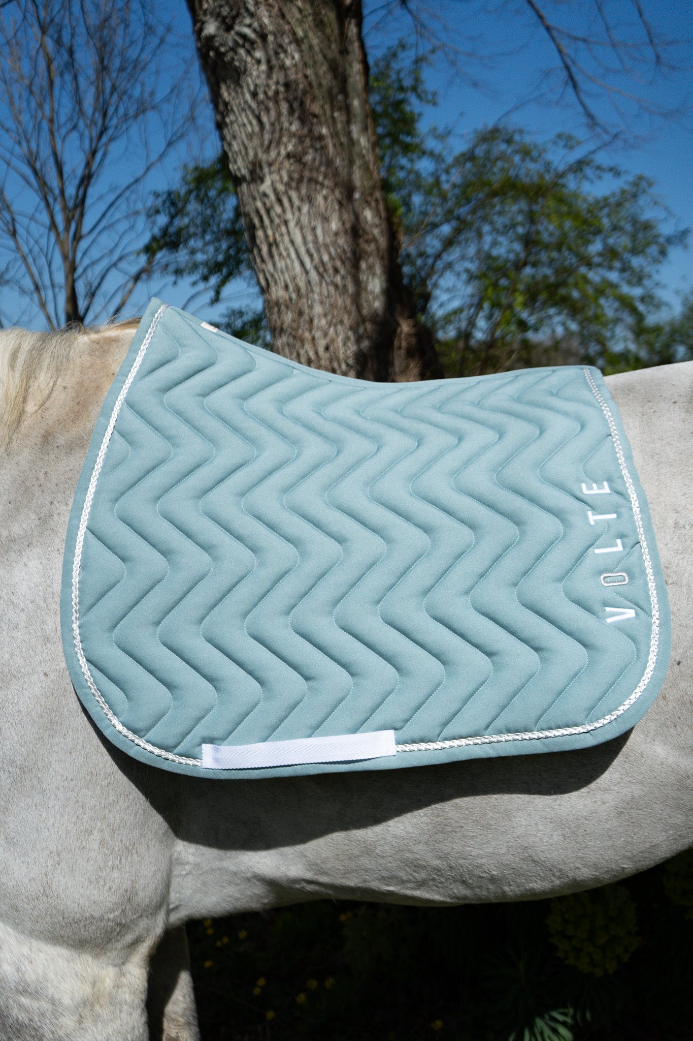Tapis dressage Volte Le Pétillant menthe