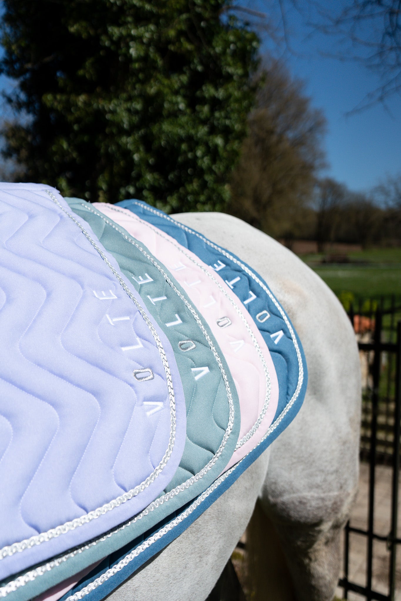 Tapis dressage Volte Le Pétillant bleu
