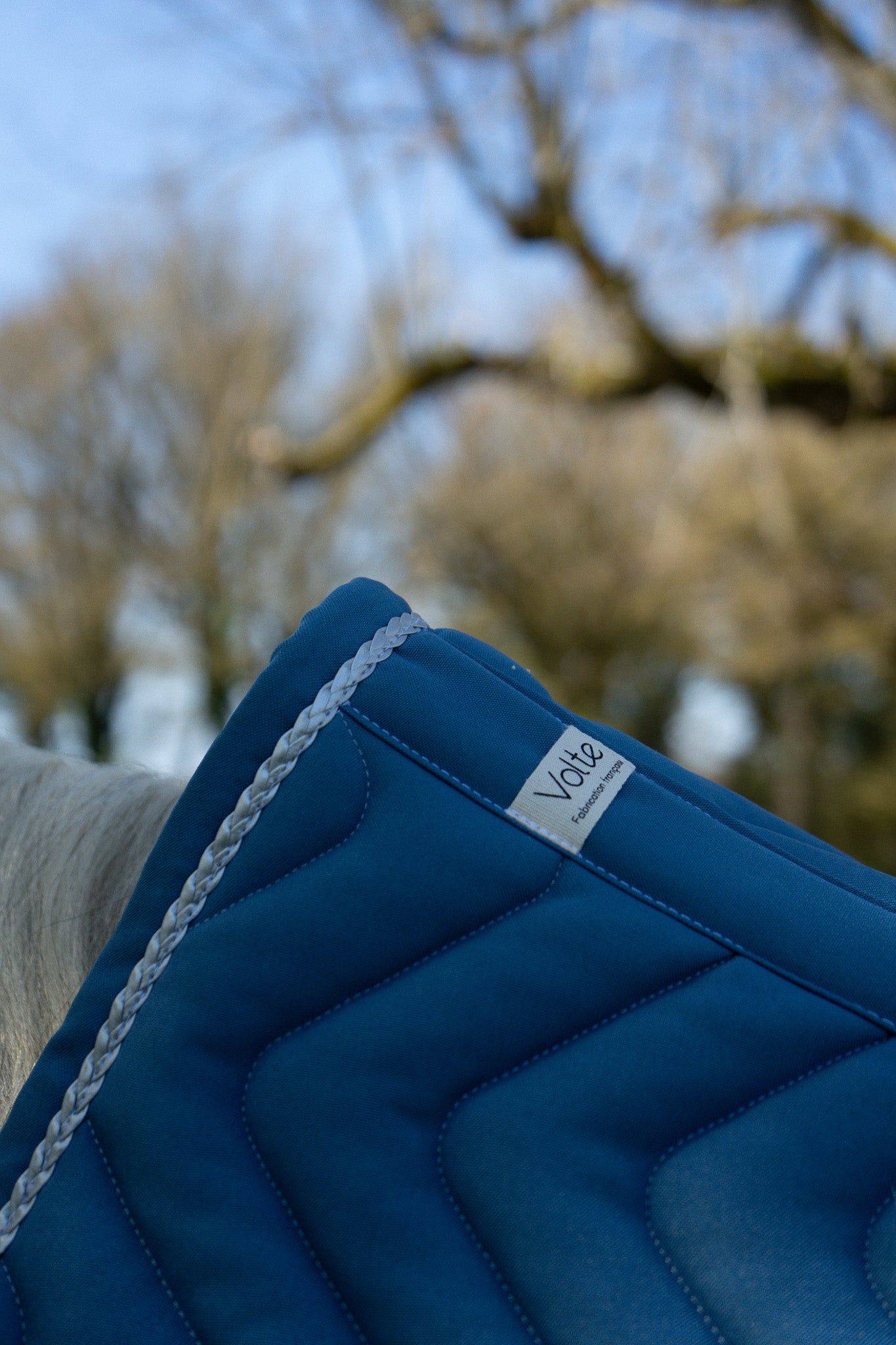 Tapis dressage Volte Le Pétillant bleu