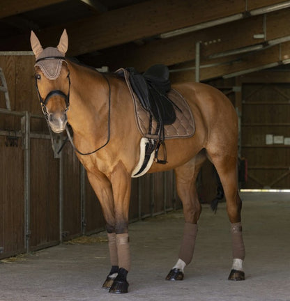 Bandes de polo Oslo EQUITHEME marron