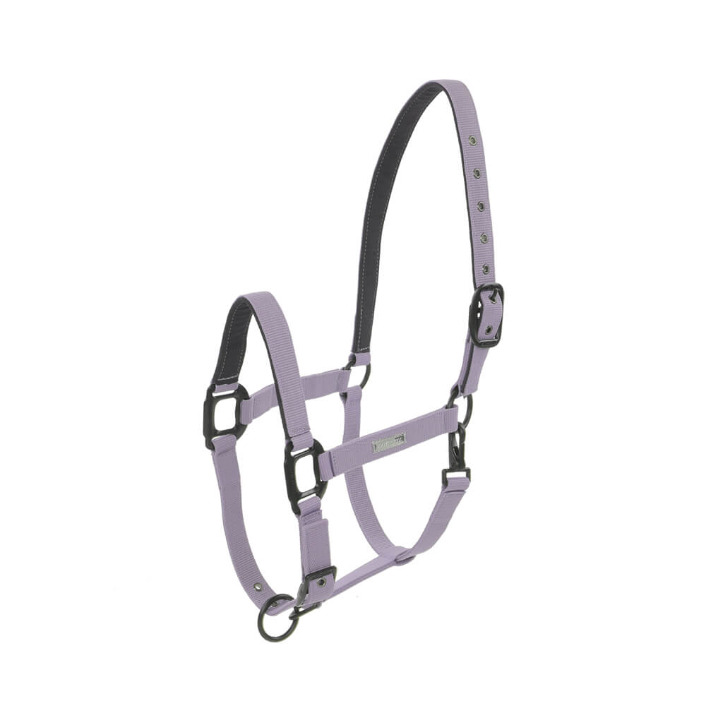 Licol Midnight LAMI-CELL mauve
