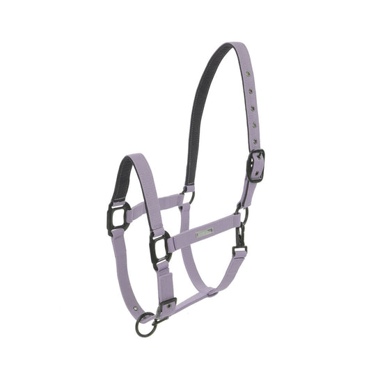 Licol Midnight LAMI-CELL mauve
