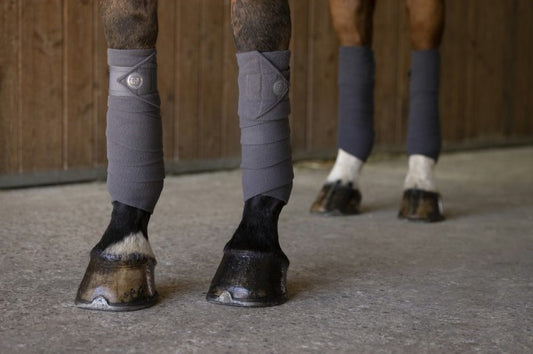 Bandes de polo Oslo EQUITHEME gris