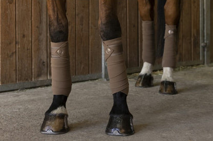 Bandes de polo Oslo EQUITHEME marron