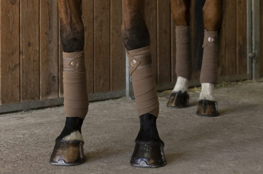 Bandes de polo Oslo EQUITHEME marron