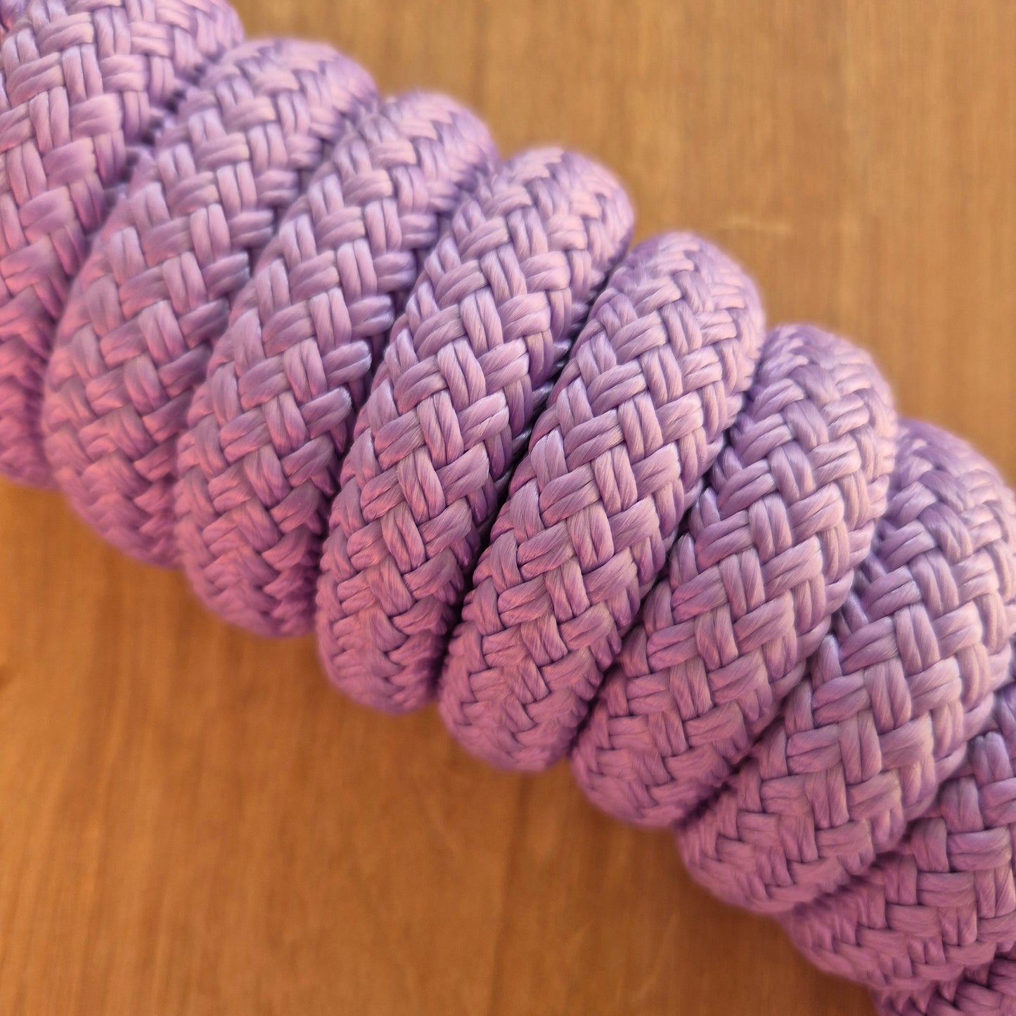 Longe éthologique lilas