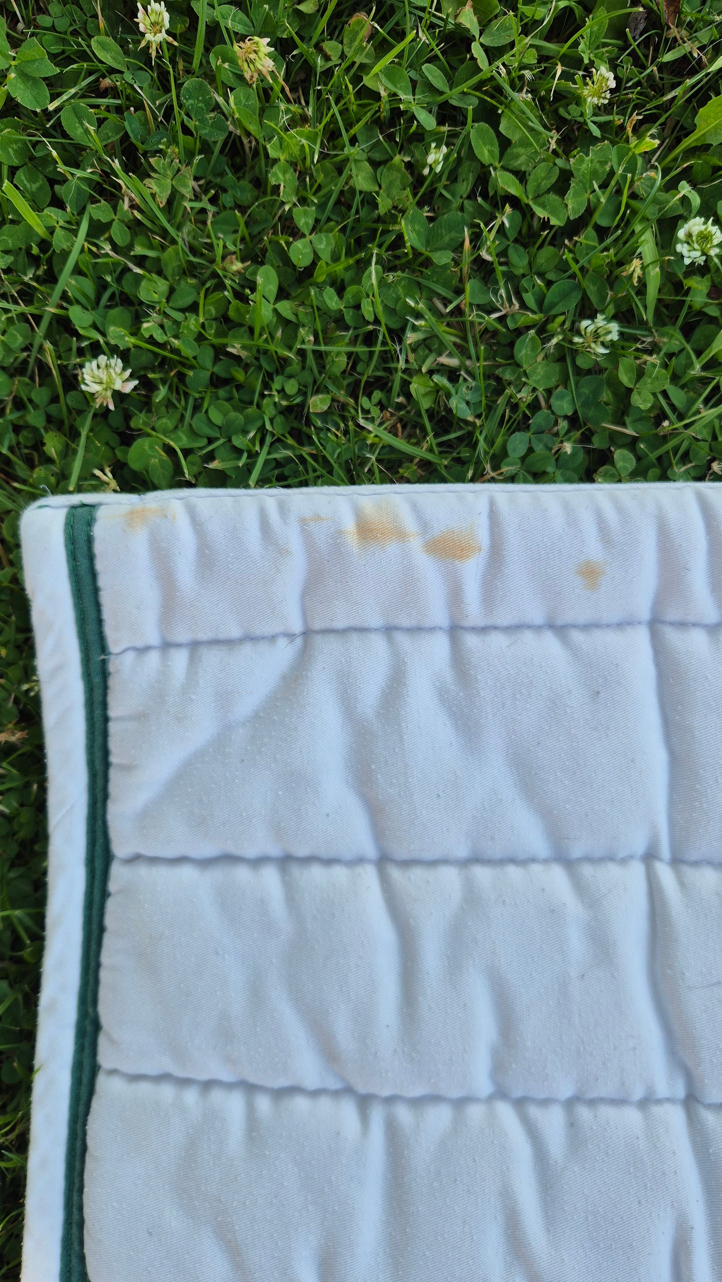 Occasion : Tapis Forestier blanc