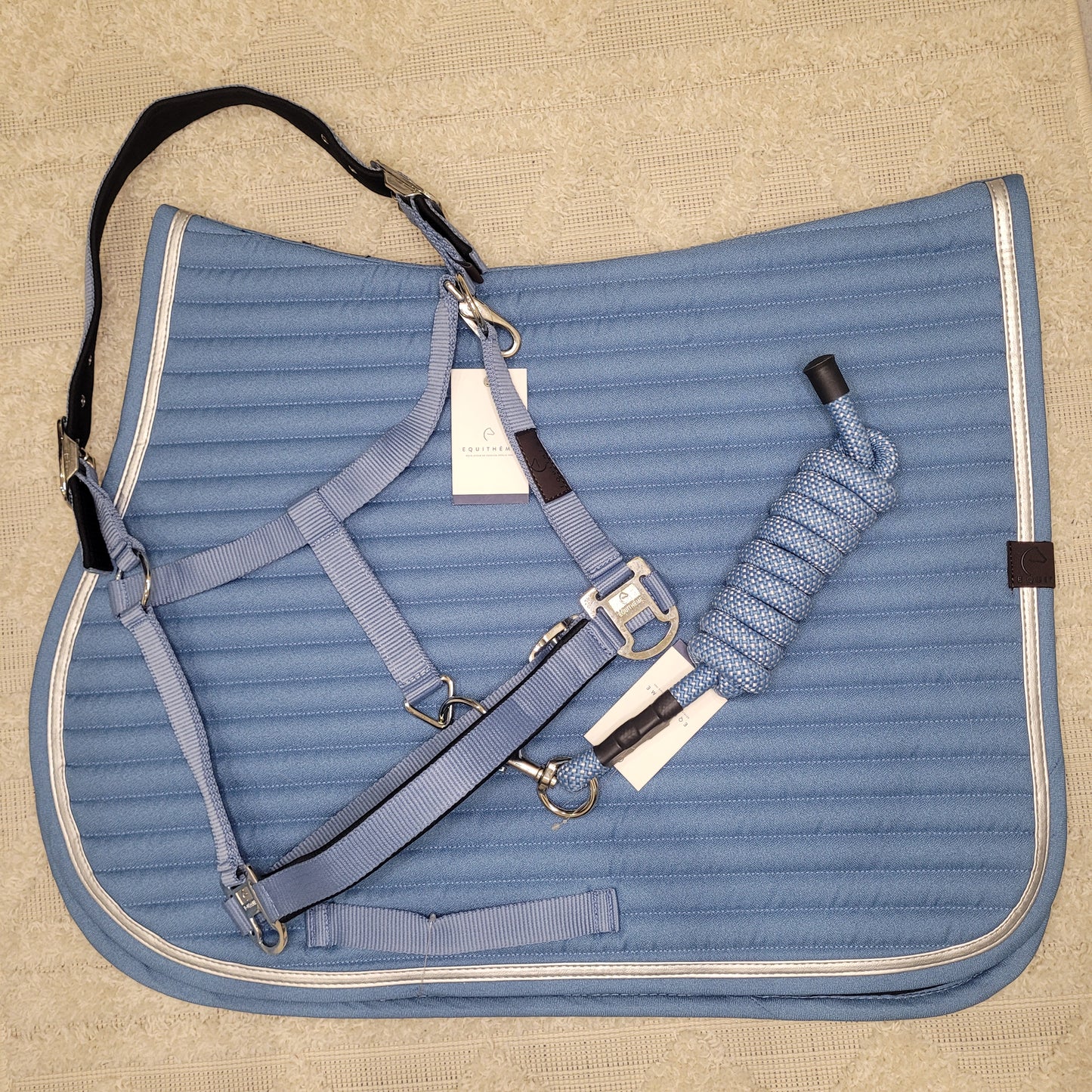 Longe EQUITHEME Spring bleu