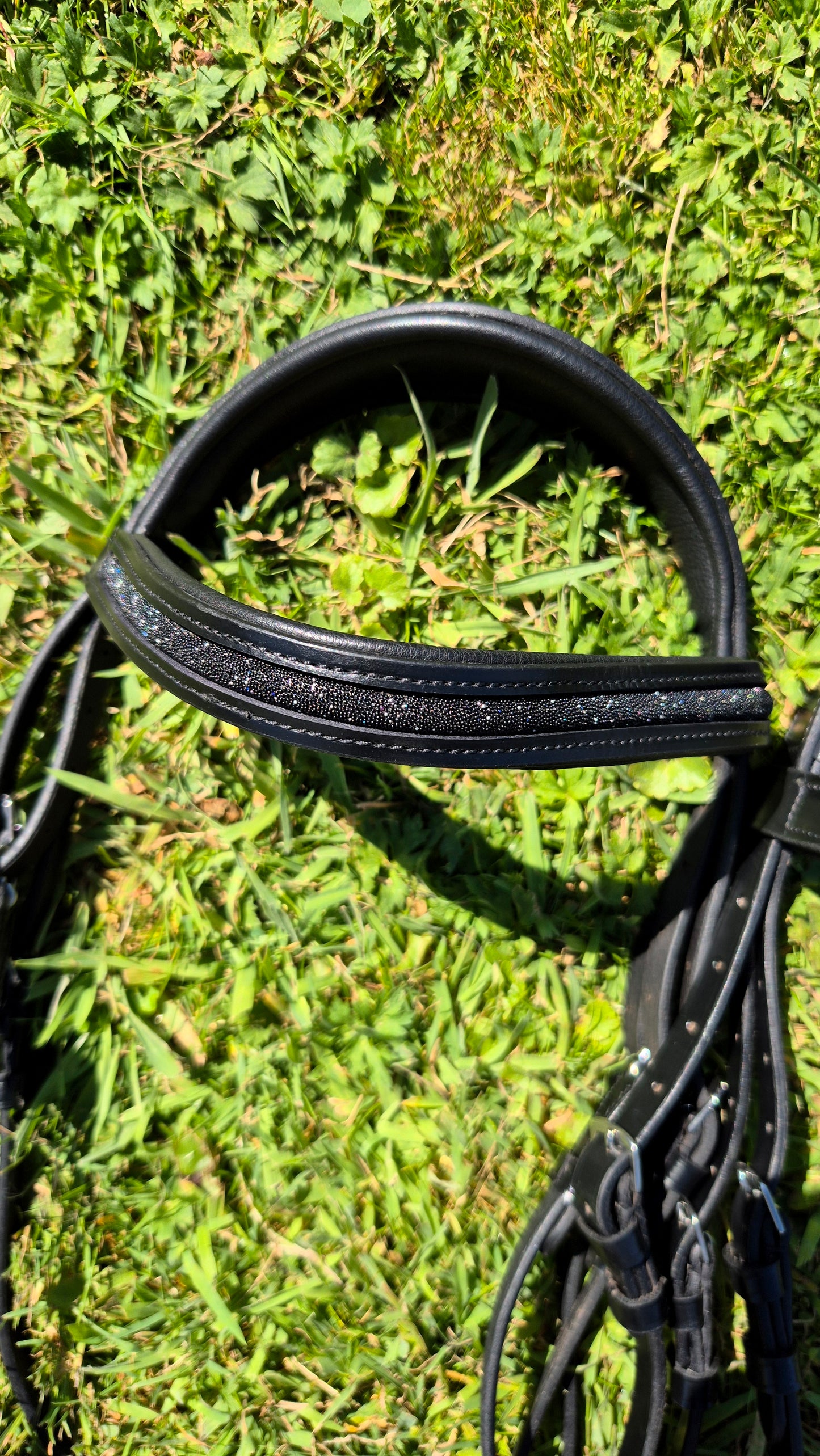 Bridon + rênes Sparkle CABALLIA noir