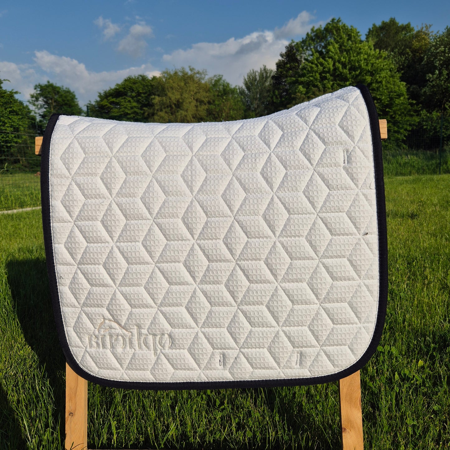 Occasion : Tapis dressage Ophena marine neuf