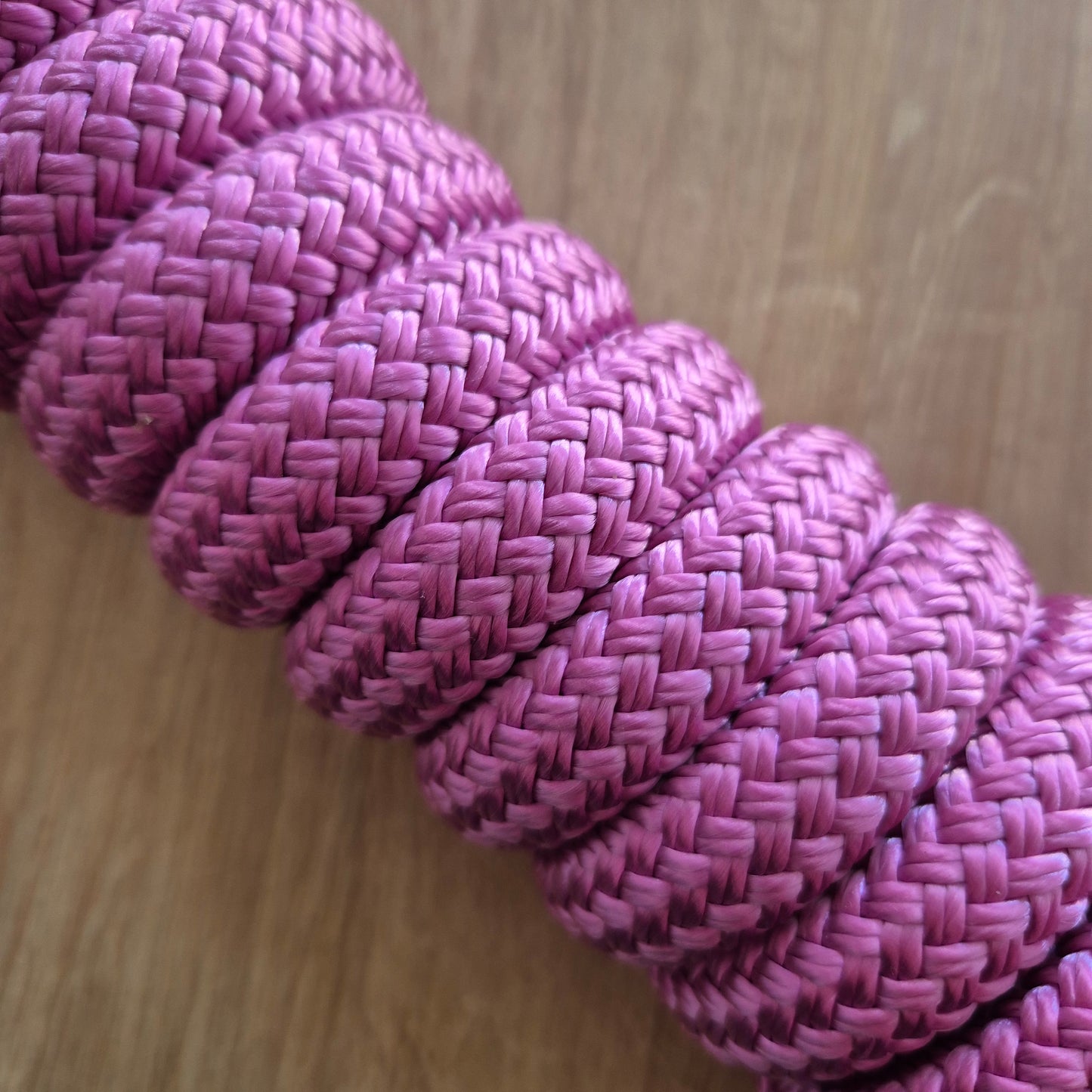 Longe éthologique rose