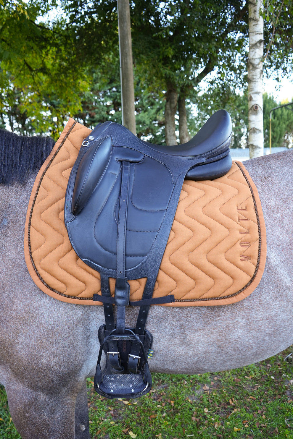 Tapis dressage Volte Le Subtil camel
