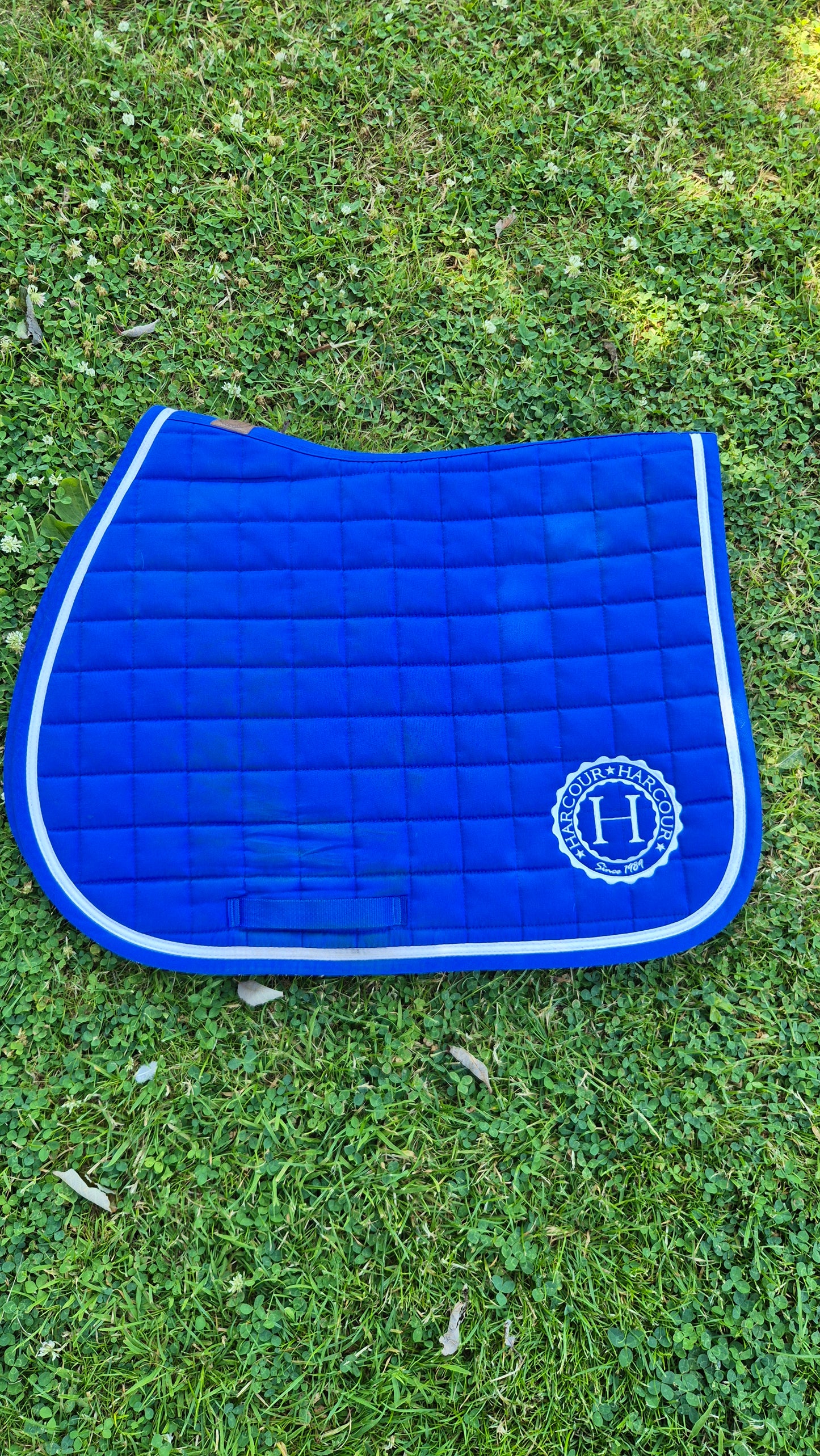 Occasion : Tapis Harcour Siriel bleu roi