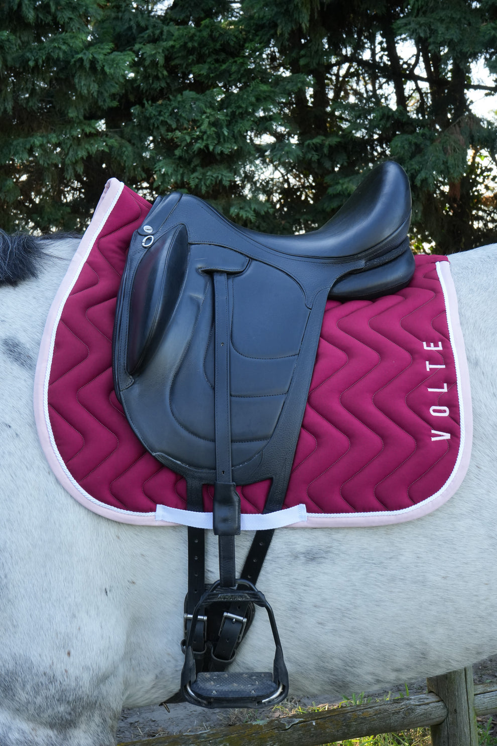 Tapis dressage Volte Le Signature bordeaux