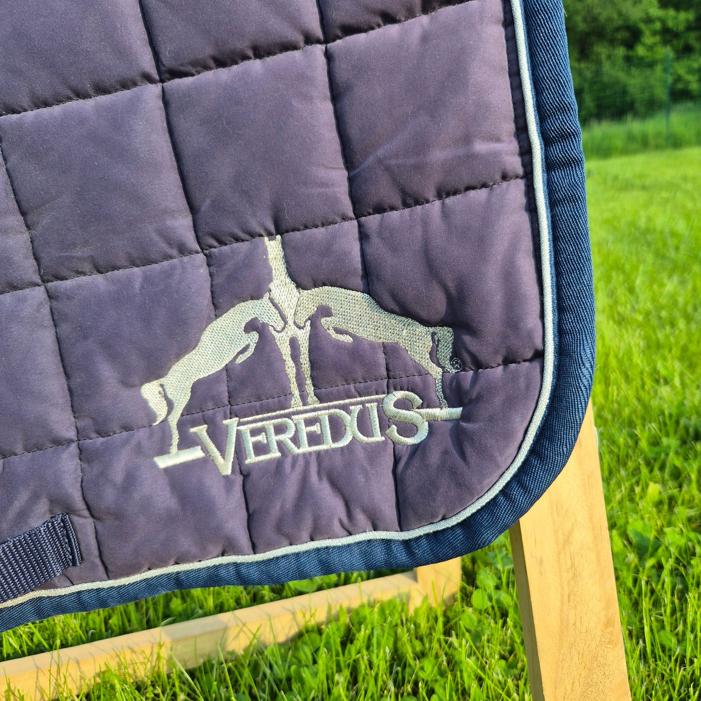 Occasion : Tapis Veredus marine
