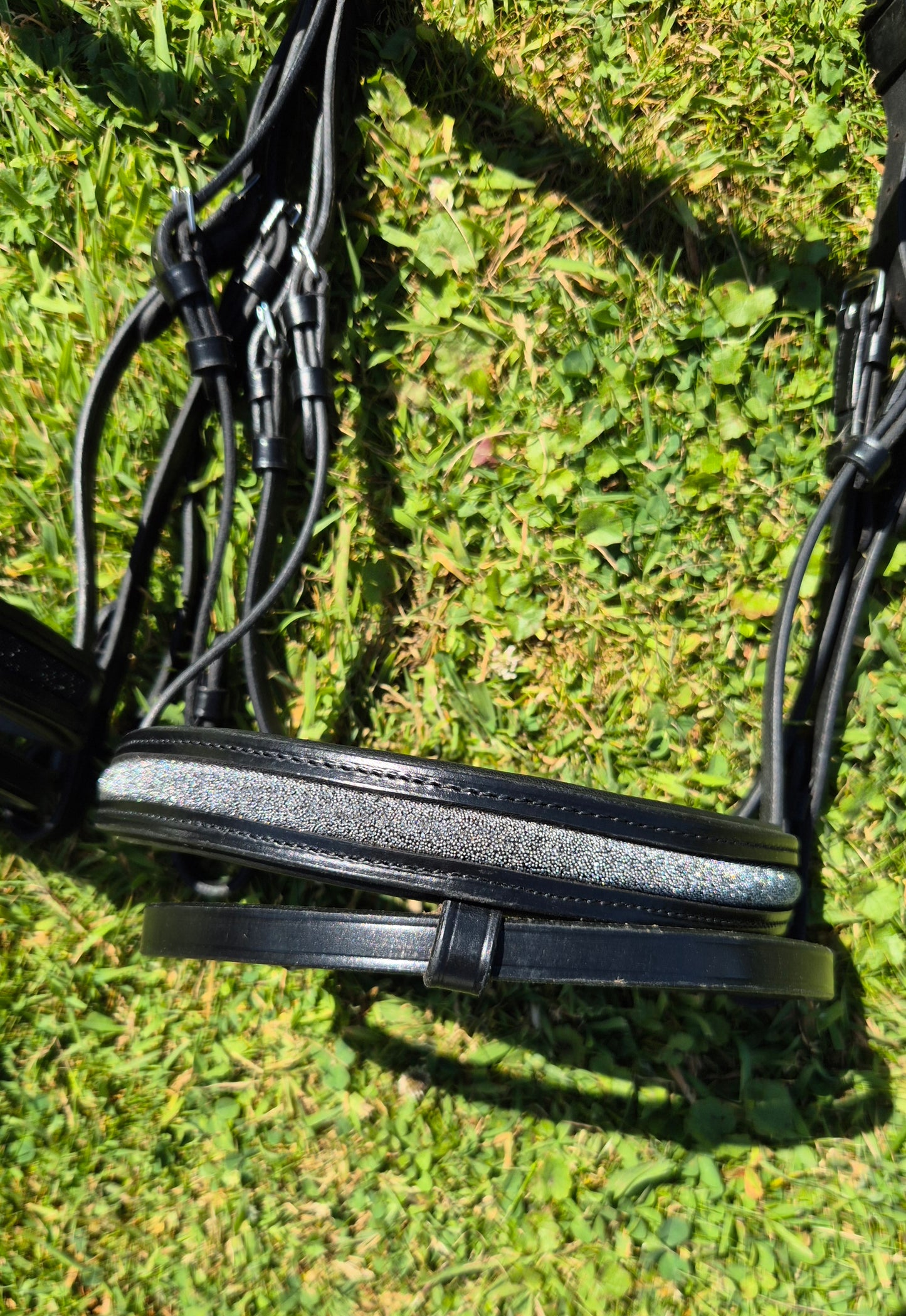 Bridon + rênes Sparkle CABALLIA noir argent