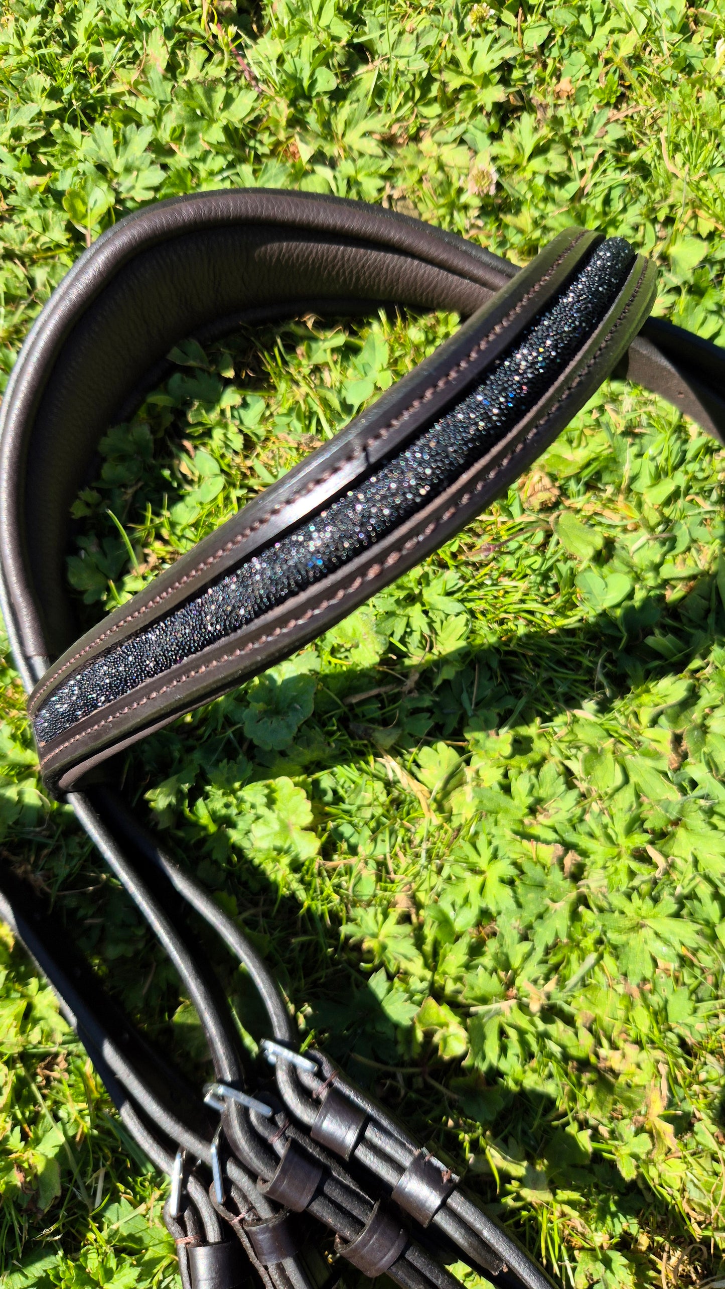 Bridon + rênes Sparkle CABALLIA marron noir
