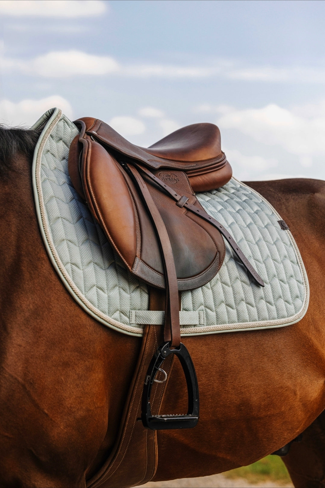 Tapis Excellence EQUITHEME vert